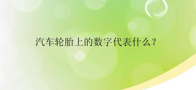 汽车轮胎上的数字代表什么？