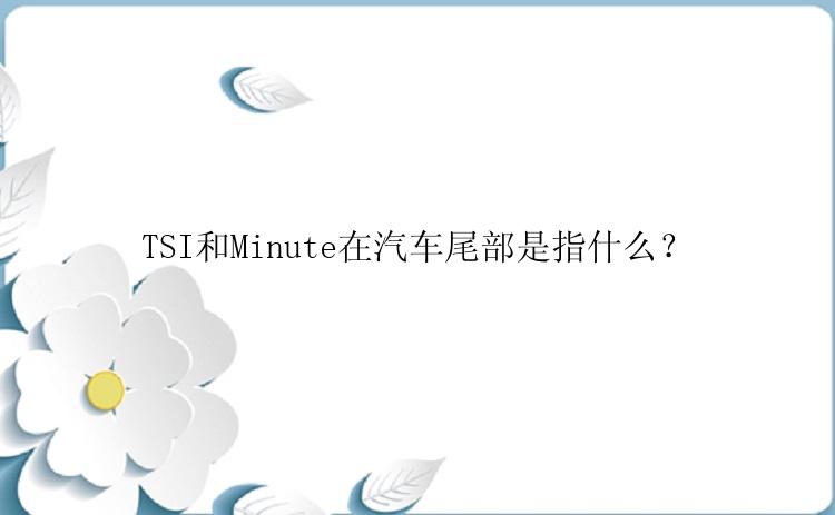 TSI和Minute在汽车尾部是指什么？