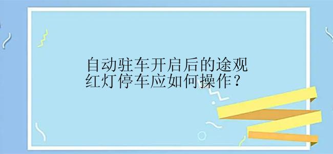 自动驻车开启后的途观红灯停车应如何操作？