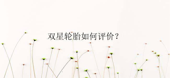 双星轮胎如何评价？