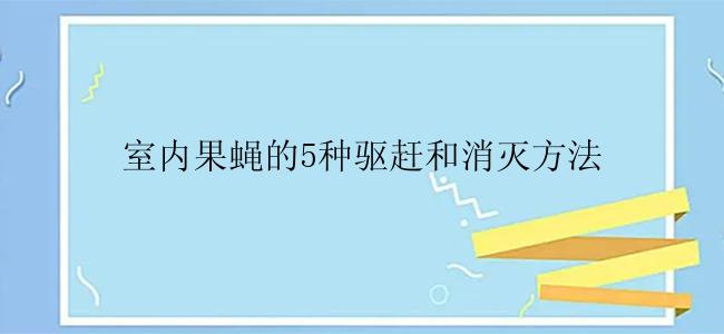 室内果蝇的5种驱赶和消灭方法