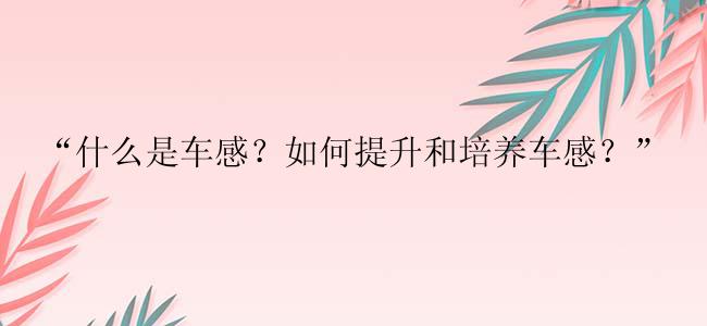 “什么是车感？如何提升和培养车感？”