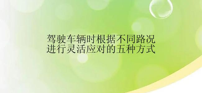 驾驶车辆时根据不同路况进行灵活应对的五种方式