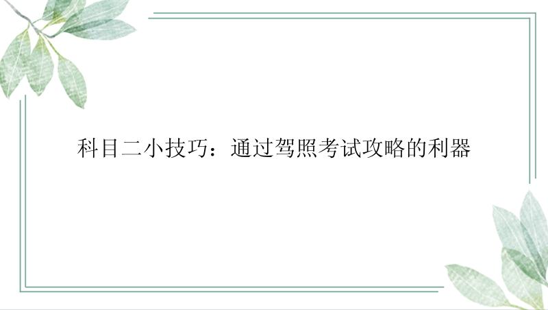 科目二小技巧：通过驾照考试攻略的利器