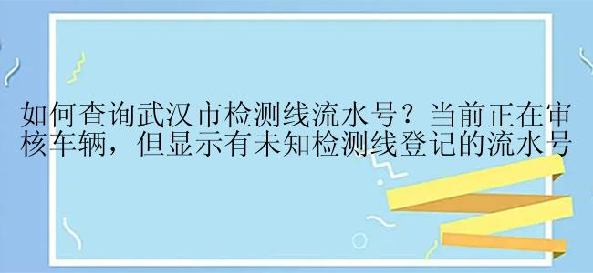 如何查询武汉市检测线流水号？当前正在审核车辆，但显示有未知检测线登记的流水号