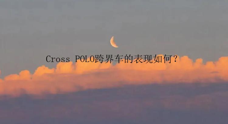 Cross POLO跨界车的表现如何？