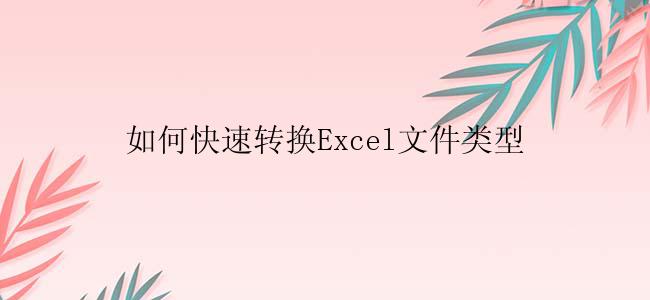 如何快速转换Excel文件类型