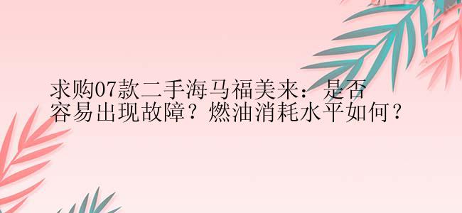 求购07款二手海马福美来：是否容易出现故障？燃油消耗水平如何？