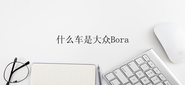 什么车是大众Bora