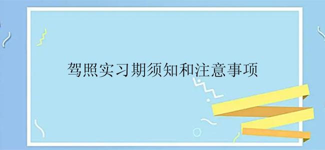 驾照实习期须知和注意事项