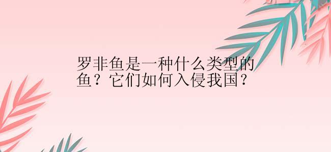 罗非鱼是一种什么类型的鱼？它们如何入侵我国？