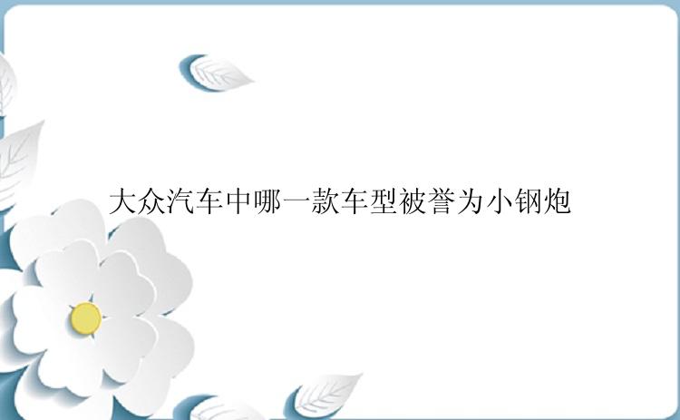 大众汽车中哪一款车型被誉为小钢炮