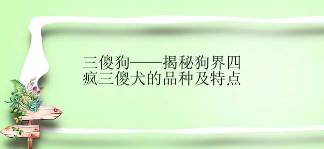 三傻狗——揭秘狗界四疯三傻犬的品种及特点