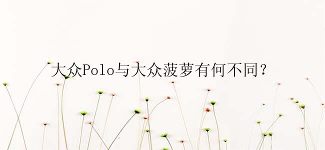 大众Polo与大众菠萝有何不同？