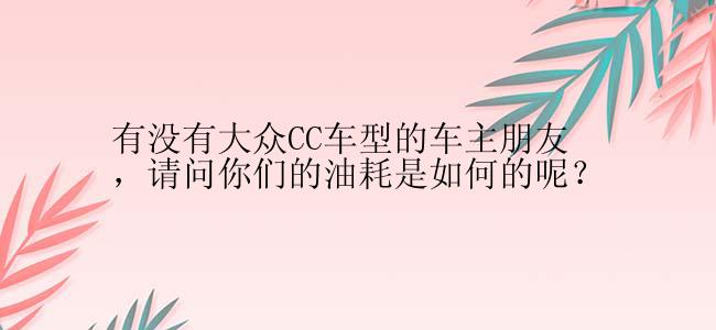 有没有大众CC车型的车主朋友，请问你们的油耗是如何的呢？