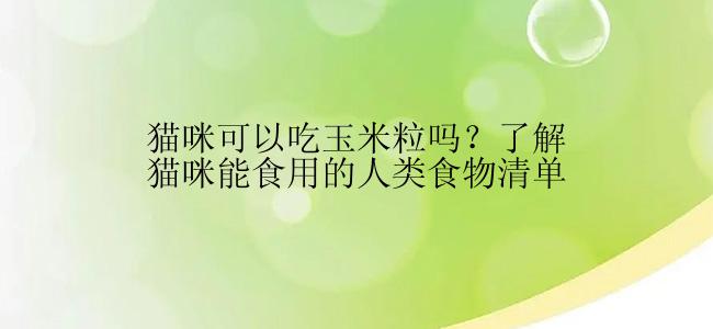 猫咪可以吃玉米粒吗？了解猫咪能食用的人类食物清单