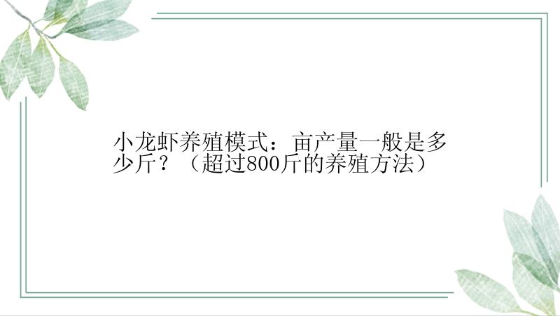 小龙虾养殖模式：亩产量一般是多少斤？（超过800斤的养殖方法）