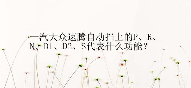 一汽大众速腾自动挡上的P、R、N、D1、D2、S代表什么功能？