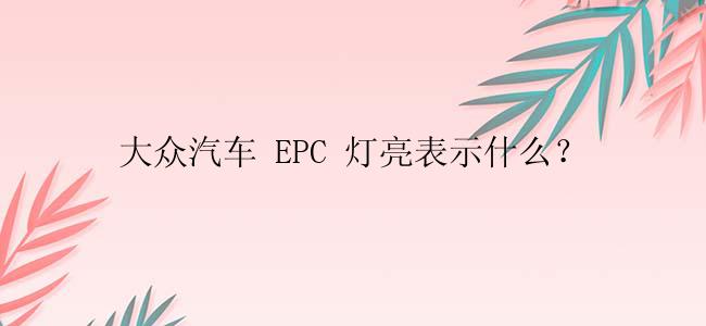 大众汽车 EPC 灯亮表示什么？