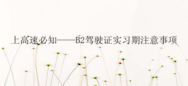 上高速必知——B2驾驶证实习期注意事项