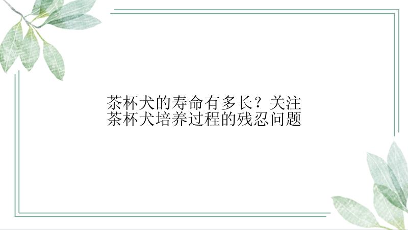 茶杯犬的寿命有多长？关注茶杯犬培养过程的残忍问题