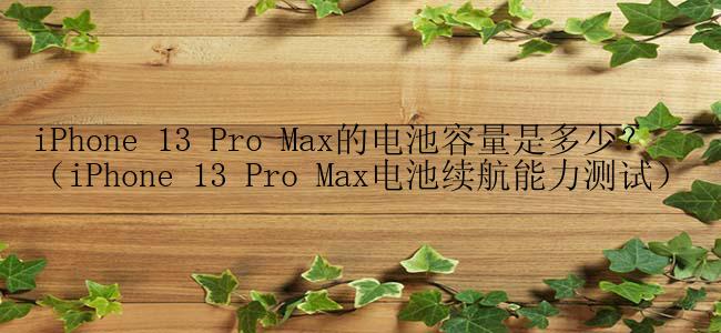 iPhone 13 Pro Max的电池容量是多少？（iPhone 13 Pro Max电池续航能力测试）