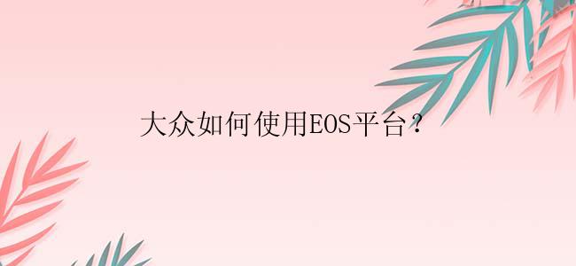 大众如何使用EOS平台？