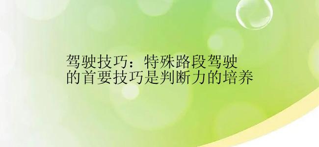 驾驶技巧：特殊路段驾驶的首要技巧是判断力的培养