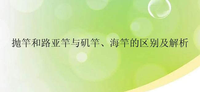 抛竿和路亚竿与矶竿、海竿的区别及解析