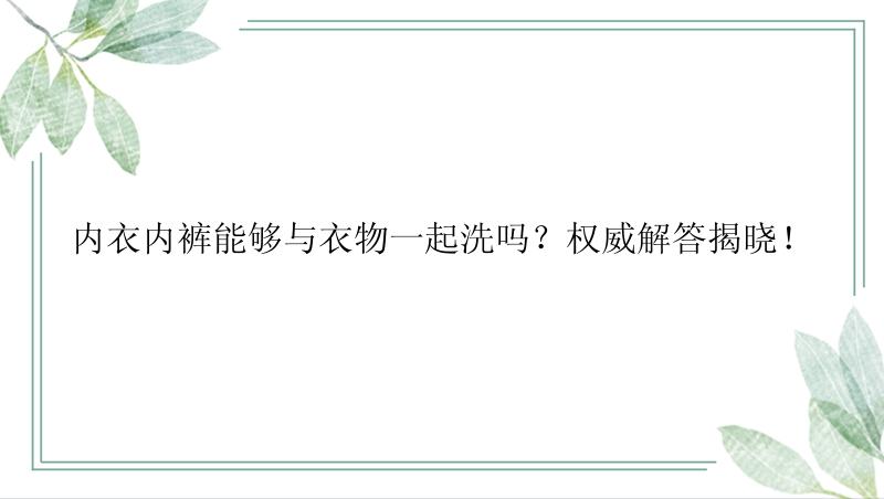 内衣内裤能够与衣物一起洗吗？权威解答揭晓！