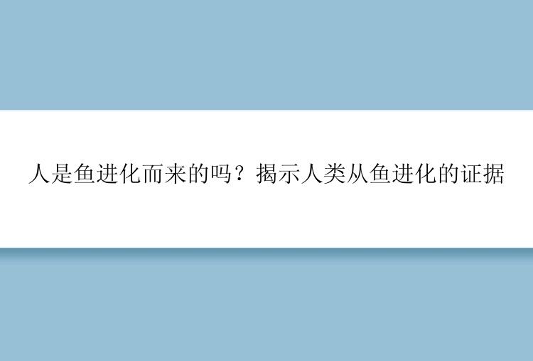 人是鱼进化而来的吗？揭示人类从鱼进化的证据