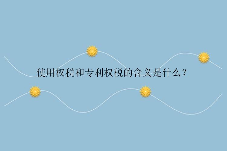 使用权税和专利权税的含义是什么？