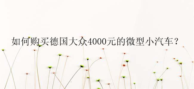 如何购买德国大众4000元的微型小汽车？