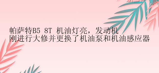 帕萨特B5 8T 机油灯亮，发动机刚进行大修并更换了机油泵和机油感应器