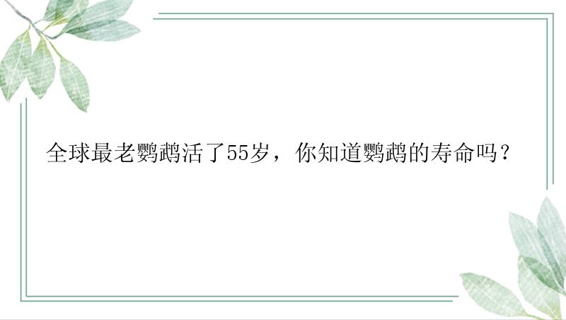 全球最老鹦鹉活了55岁，你知道鹦鹉的寿命吗？