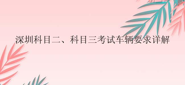 深圳科目二、科目三考试车辆要求详解