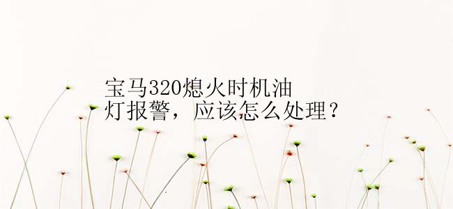 宝马320熄火时机油灯报警，应该怎么处理？