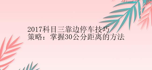 2017科目三靠边停车技巧策略：掌握30公分距离的方法