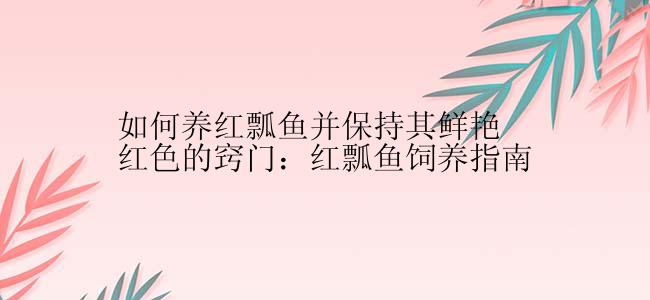 如何养红瓢鱼并保持其鲜艳红色的窍门：红瓢鱼饲养指南