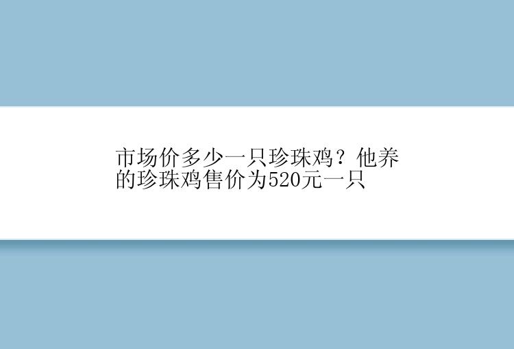 市场价多少一只珍珠鸡？他养的珍珠鸡售价为520元一只