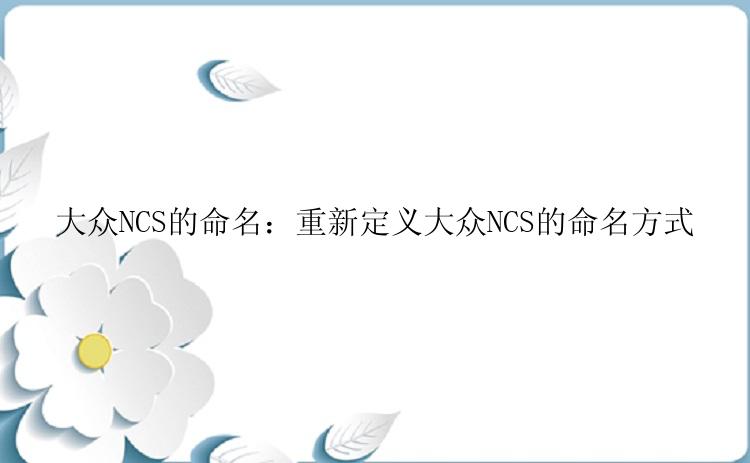 大众NCS的命名：重新定义大众NCS的命名方式