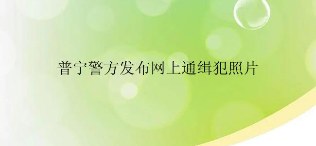 普宁警方发布网上通缉犯照片