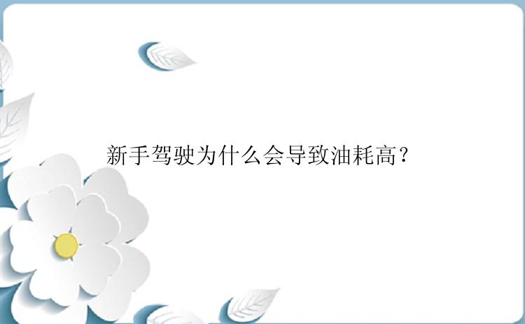 新手驾驶为什么会导致油耗高？