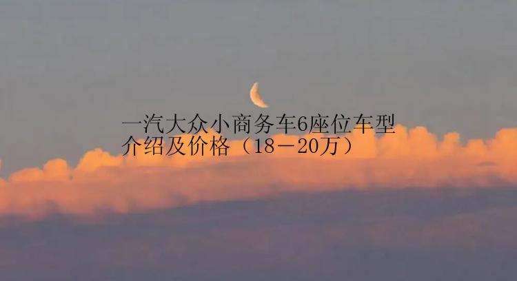 一汽大众小商务车6座位车型介绍及价格（18―20万）