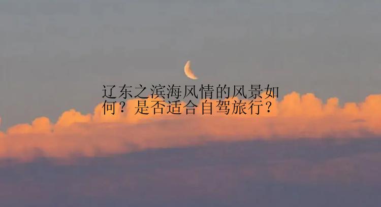 辽东之滨海风情的风景如何？是否适合自驾旅行？