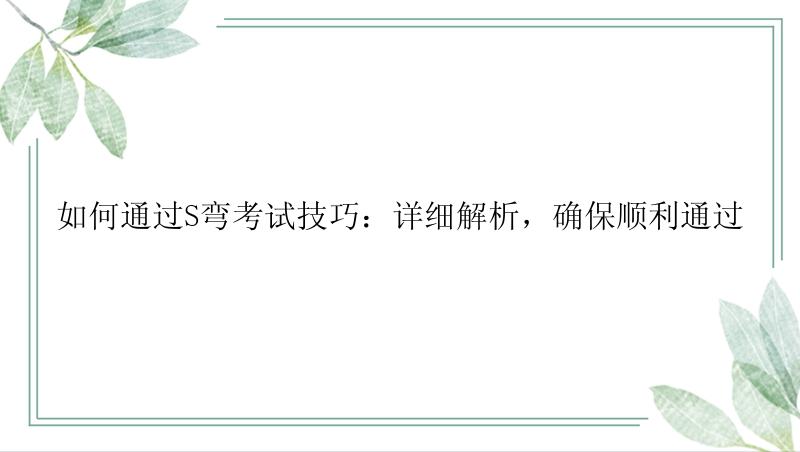 如何通过S弯考试技巧：详细解析，确保顺利通过