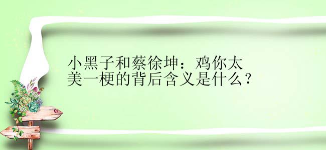 小黑子和蔡徐坤：鸡你太美一梗的背后含义是什么？