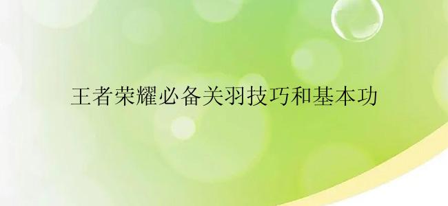 王者荣耀必备关羽技巧和基本功