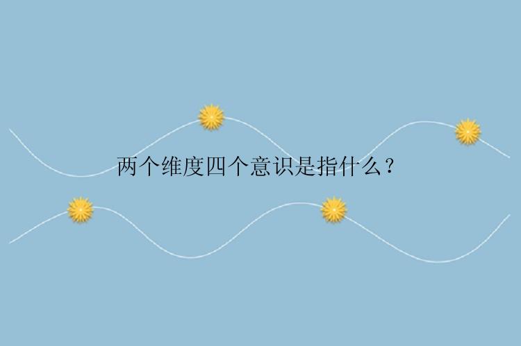 两个维度四个意识是指什么？