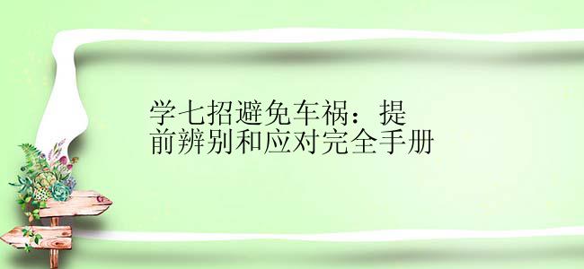 学七招避免车祸：提前辨别和应对完全手册